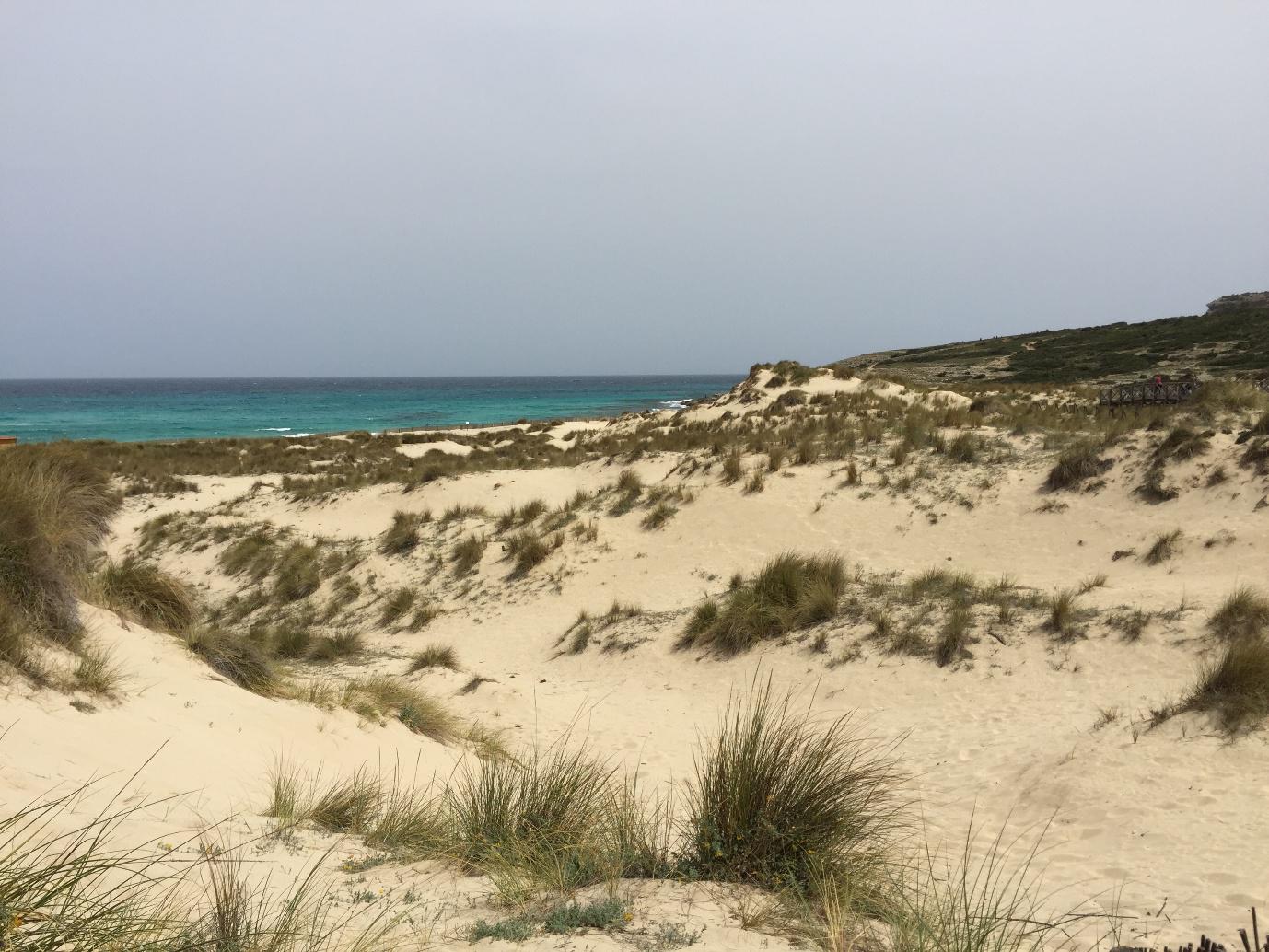 Sanddünen am Meer